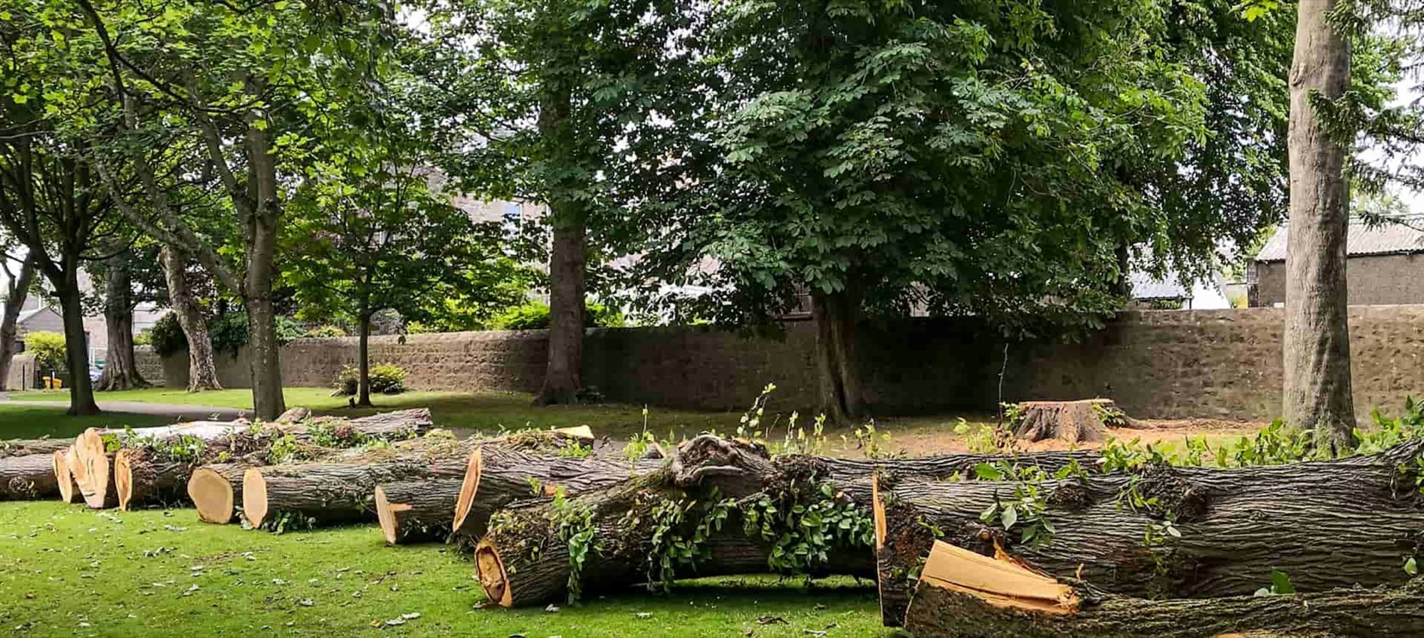 Kapade stockar redo för bortforsling